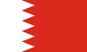 UAE Flag